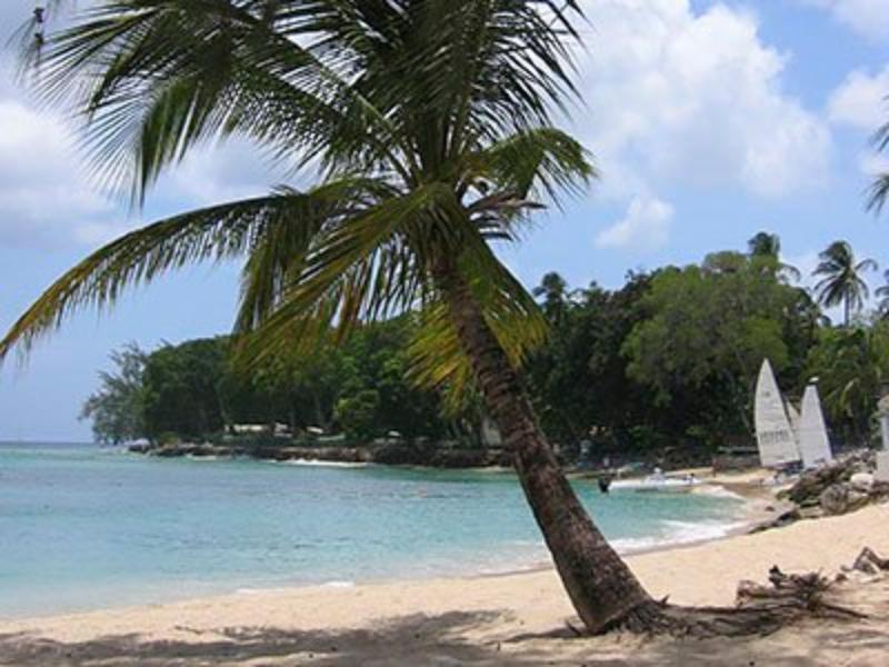 Starfish Discovery Bay Holetown Exterior foto